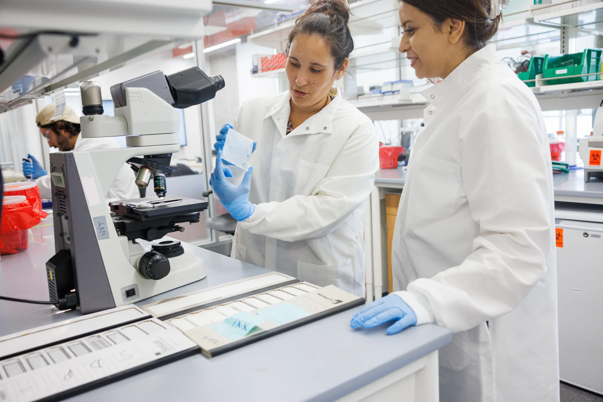 Students analyzing sample in a lab.